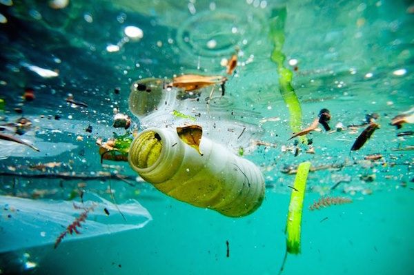 Lee más sobre el artículo La contaminación de las aguas: un llamado a la atención